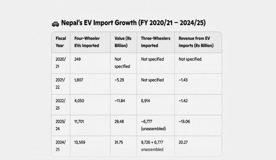EV imports up by 16%, 13,569 four-wheeler EVs imported in 2024/25 with 75% from China