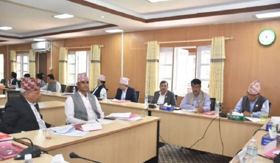 Two parliamentary committees meeting today