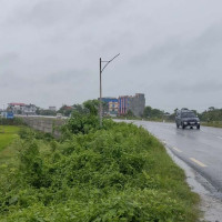 CM Pandey pledges to legalize ride-sharing services