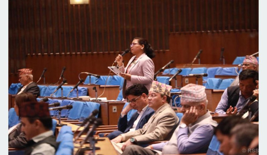 Lawmakers demand govt's response to polygamy issue