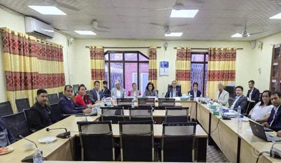 Probe committee on cooling-off period submits its report