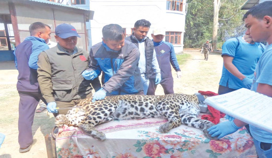 Wildlife Farming  Possibilities And Challenges