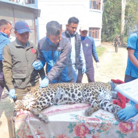 DSP Thag Bahadur suspended