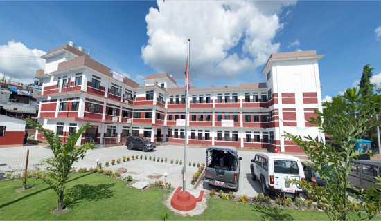 Gandaki govt drafts bill for marijuana farming, license mandatory