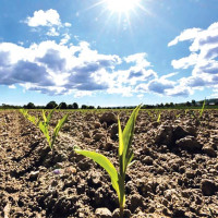 Finance Ministry proposes mechanism to mobilise climate finance