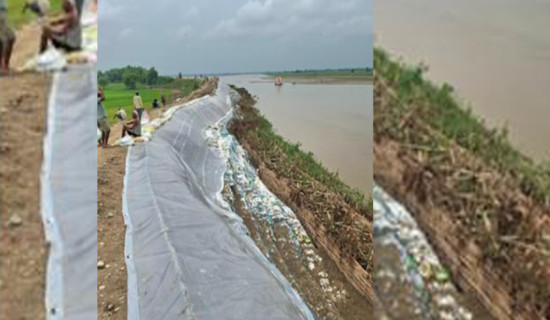Emergency embankment along Rapti River gives a respite to locals