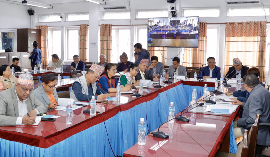 Committee report tabled in National Assembly