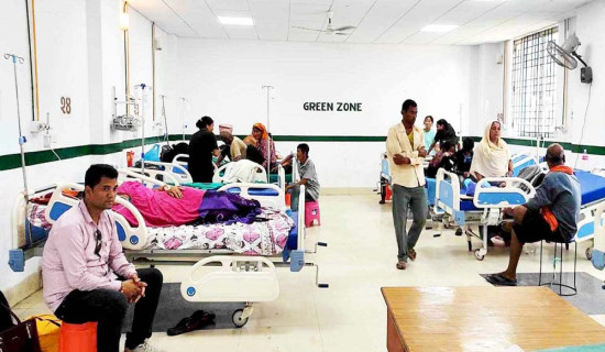 Cases of dengue and scrub typhus increasing in Banke