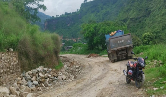 Yarsagumba collection to start in Dolpa from May 25