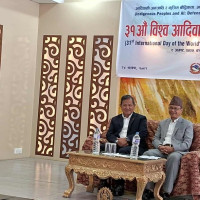 President Paudel receives 'Rakshabandhan'