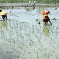 CIAA files cases against 11 people for substandard construction work