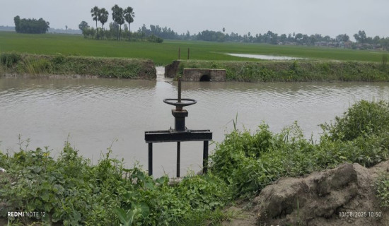 Desperate farmers encroach on Gandak Canal