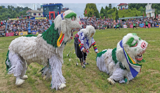 Singhi dance performed in Taplejung for the first time