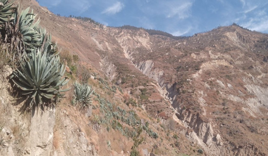 Monsoon nights filled with fear in Bajura