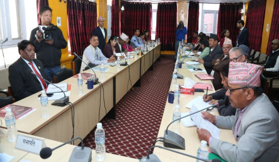 Meetings of four parliamentary committees scheduled today