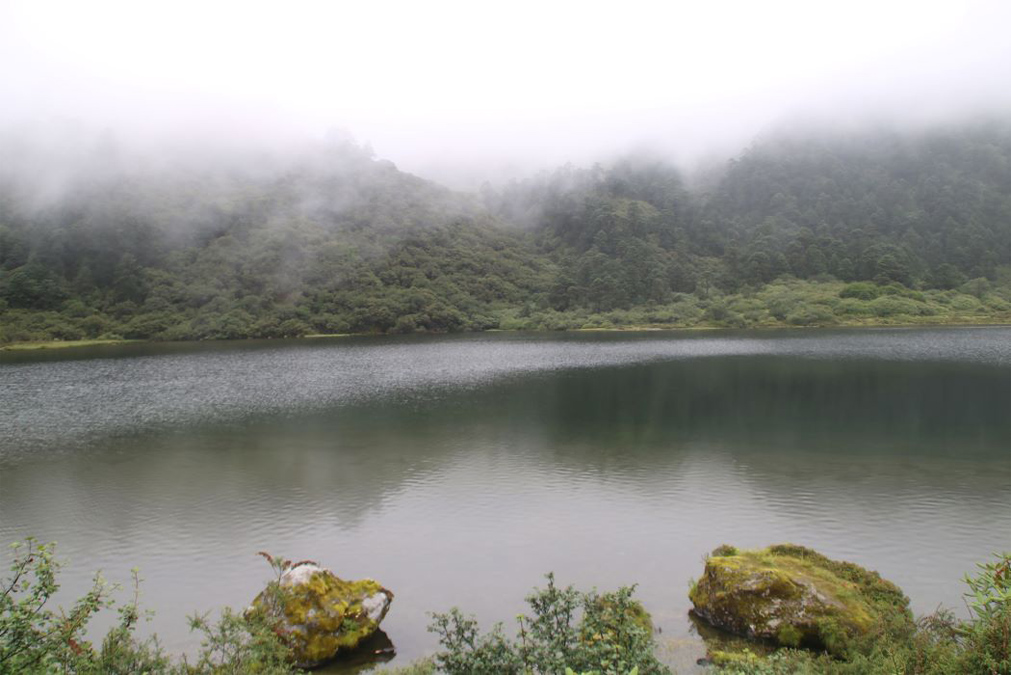 blog
