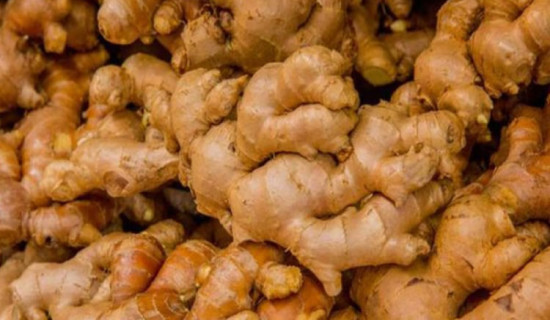 Zinger, turmeric from Karnali Province exported to Europe