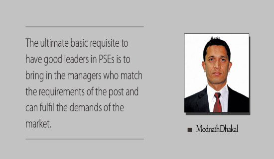 Poor Leadership Cripples Public Enterprises