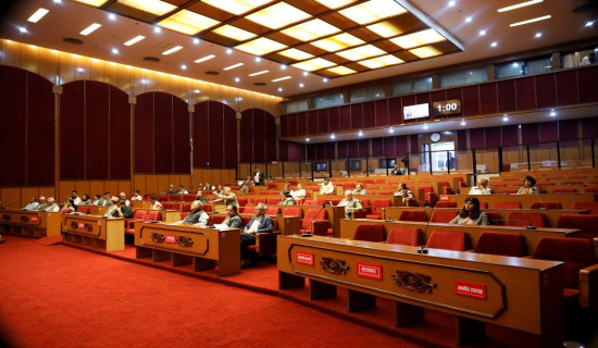 NA members stress favourable atmosphere to retain students within country