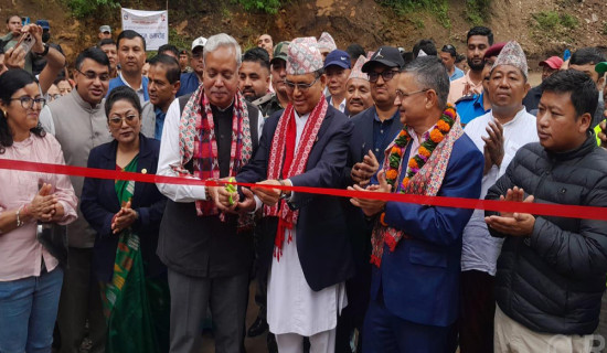 Bailey bridge over Puwa Stream inaugurated