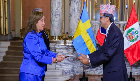 Letters of Credence presented