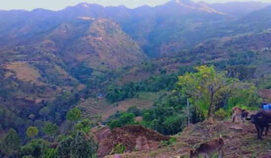 The Human Face of Climate Change: Stories from the Fields of Sigas Rural Municipality