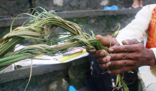 Kushe Aunsi (Father's Day) being observed across the country today