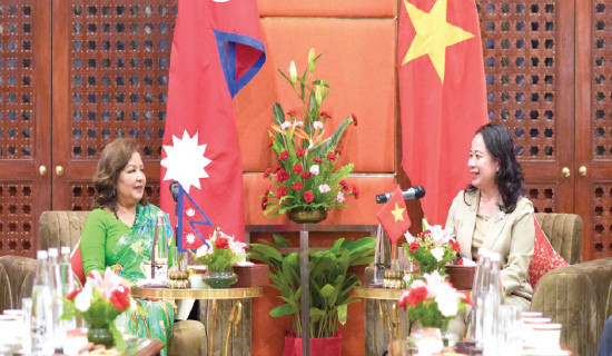 FM Dr. Rana urges Vietnam for flights to GBIA, PIA