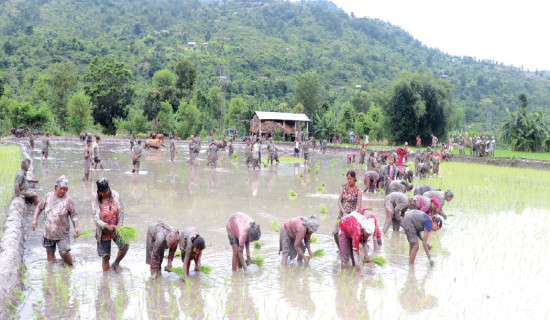 Conservation of sources stressed to address water scarcity problem