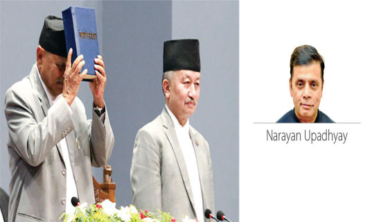 A decade of constitution to be observed in grand manner; PM Oli leads main celebration committee