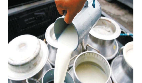 Cash incentives to increase milk production