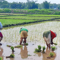 Nepal emerging as more peaceful nation