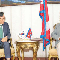 GAN demands Textile and  Clothing Development Council