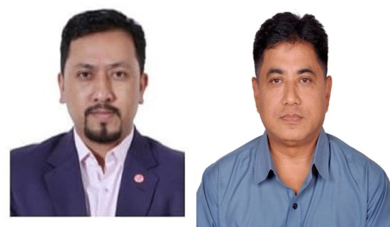 Chalaune, Malla appointed new members of TEPC