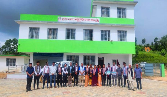 Cholera outbreak: Birgunj Metropolis closes schools for three more days
