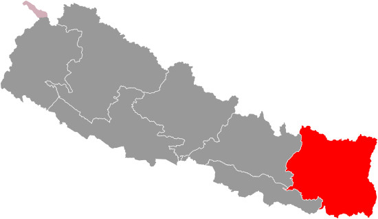 Millet Cultivation For Food Security In Nepal
