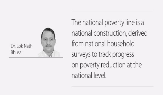 Poverty Lines Versus The Poor