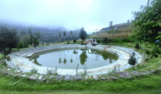 Development displaces village ponds