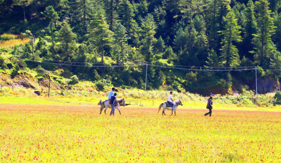 Horse ride in Dhorpatan