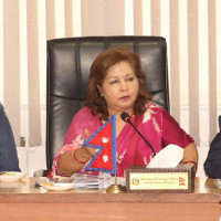 Address problems of people travelling on visit visa: PM Prachanda