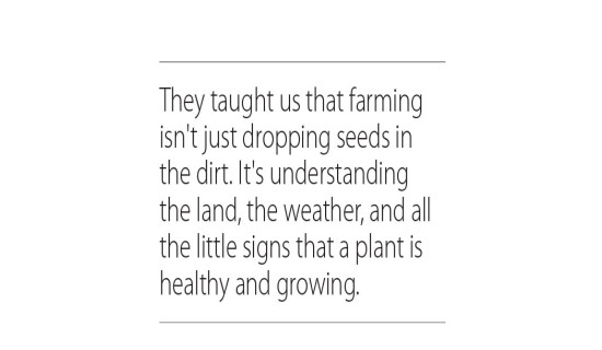 Single Women Farmers