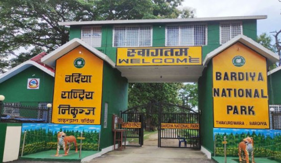 Over 200 wild BNP animals captured