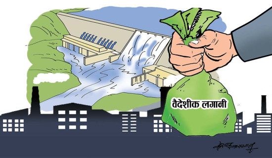 FDI commitment hits Rs 65 billion, while received Rs 12 billion