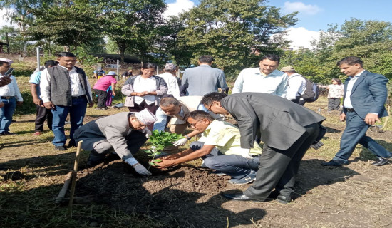 Saplings planting, philatelic exhibition held to mark Civil Service Day