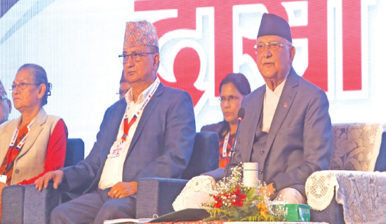 34 cattle infected with lumpy skin in Nawalparasi
