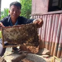 Farmers worried about reasonable price for paddy