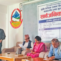 Over 9,000 metric tons of orange produced in Palpa