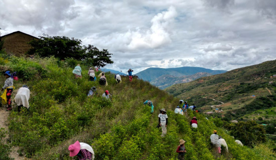 Nepal-China joint drill begins