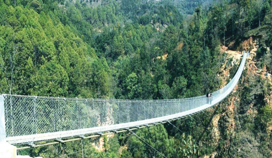 Suspension bridge constructed over Mohana river