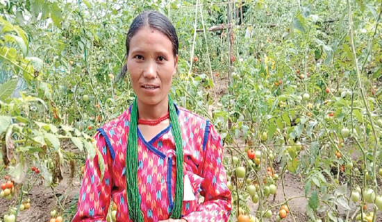Jumlakot women become self-reliant through farming